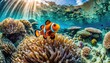 The clownfish with the coral in the sea.