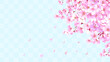 桜の和風フレーム背景　和柄　市松模様　桜吹雪　飾り枠　素材　お花見　入学　卒業　入園　卒園　入社　ひなまつり　ひな祭り　イメージ　16:9