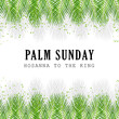 palm sunday vector illustration background. it is suitable for card, banner, or poster