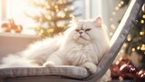 Fototapeta Konie - A Cute white Persian cat lying on a modern rocking chair. and yawn against the background of a stylishly decorated Christmas tree in a sunny living room. Pet and Winter Holiday Ideas
