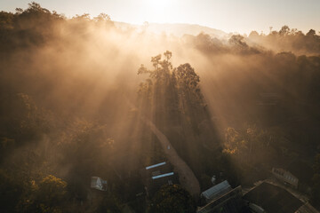 Wall Mural - Aerial view of forest and mountain in fog with golden sunbeams at sunrise