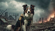 災害救助犬,Generative AI AI画像
