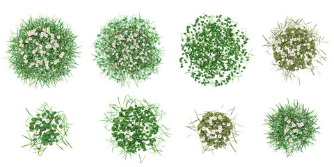 Wall Mural - Collection of Grass isolated on white background, vector illustration from top view