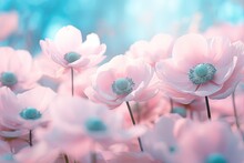 Soft Selective Focus On Delicate Anemone Flowers Gently Pink Outdoors In Summer Spring Close Up Dreamy Beautiful Image Of Nature S Beauty With Turquoise
