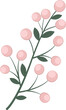 pink berries,  nature element vector icon