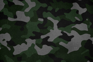 Wall Mural - green and grey  camouflage tarp texture , camo fabric background