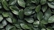 Beautiful seamless pattern of green leaves from Generative AI