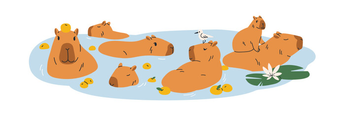 Cute capybaras bathing in water. Funny capibaras swimming in pond. Happy lazy animal characters enjoying, relaxing. Adorable capy rodents group. Flat vector illustration isolated on white background