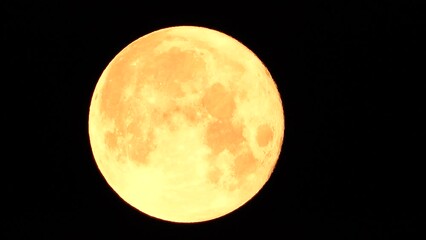 Wall Mural - A glowing golden huge full moon seen from earth through the atmosphere against a starry night sky. A large full moon moves across the sky, the moon moving from the left frame to the right.