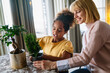 © NDABCREATIVITY - Happy caucasian mother and her adopted african american daughter taking care of plants indoors.