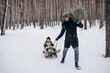 © Ananass - a man with a Christmas tree in his hands drives a sled with his daughters in the middle of a snowy forest