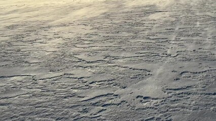 Canvas Print - White snow with wind as a background. Snow texture