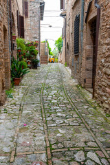 Canvas Print - Cobblestone Pedestrian Alley in Spello - Italy