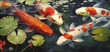 a painting of a group of koi fish swimming in a pond of water lilies and lily pads, generative ai