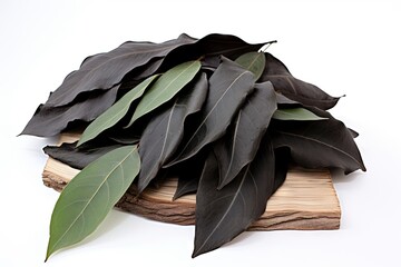 A close up of a bunch of black leaves on a wood piece isolated on white background