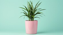 Plant In A Pink Pot On Green Background. Generative AI	