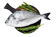 Raw Sea bream or dorado sea fish with spices and herbs Transparent background. Isolated.