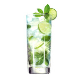 Fototapeta Las - Tall mojito Cocktail glass with lime and ice and mint leaves-isolated png.