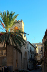 Canvas Print - Typical street view in Ortigia island, the historical heart of Syracuse. Narrow cobble stone street with vintage houses and palm tree. Travel and tourism concept