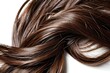 Isolated shiny brown hair on white