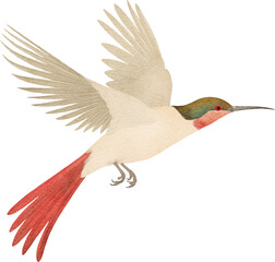 Poster - Flying tropical little bird created with Generative AI technology