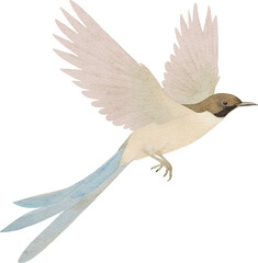 Poster - Flying tropical little bird created with Generative AI technology