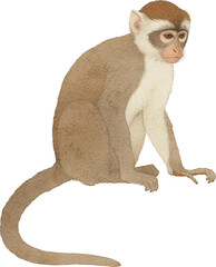 Fototapete - Monkey illustration created with Generative AI technology