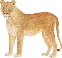 Aufkleber - Lioness illustration created with Generative AI technology
