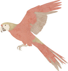 Poster - Ara parrot illustration created with Generative AI technology