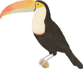 Poster - Toucan illustration created with Generative AI technology