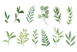 Fototapeta Kwiaty - Set of watercolor green leaves elements. Collection botanical vector isolated on white background suitable for Wedding Invitation, save the date, thank you, or greeting card.