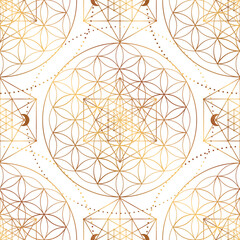 Pattern of Sacred Geometry Symbol. Vector illustration. Mystic esoteric Flower of Life. Golden Seed of life. Mandala lotus flower