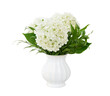 © Ortis - Bouquet with hydrangea flowers and italian ruscus in a white vase isolated on white or transparent background