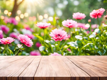 Wood Table Top On Blur Pink Flower Garden Background With Bokeh Light