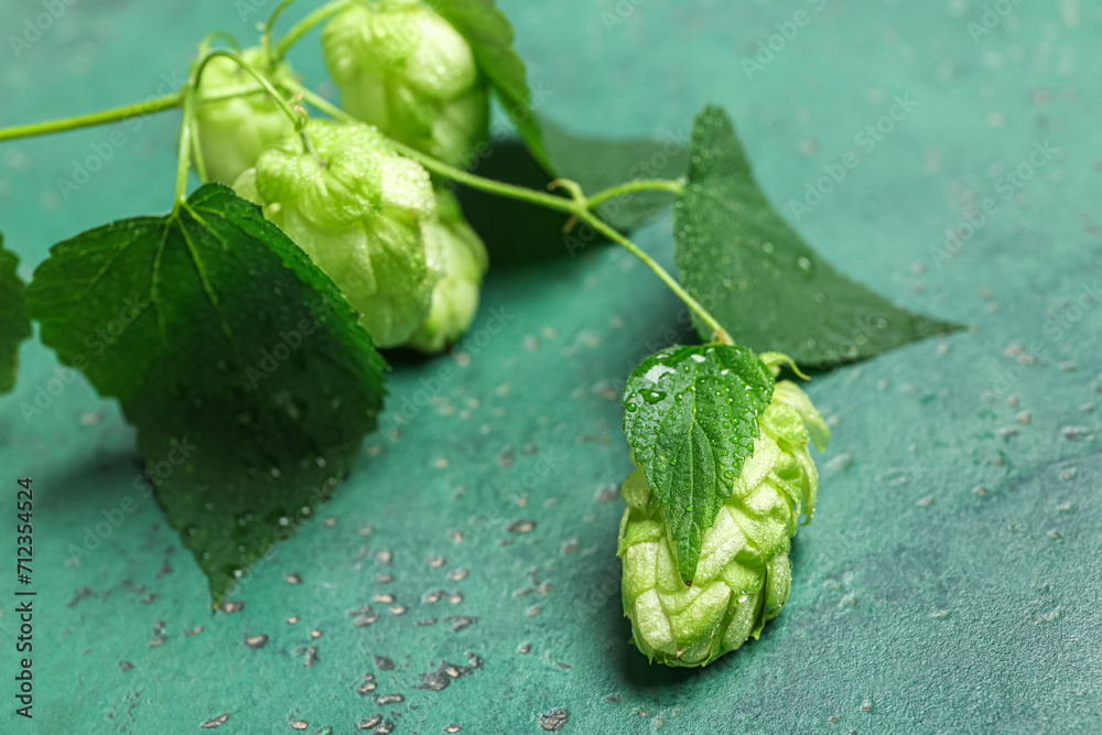 Fresh green hops and leaves on color background