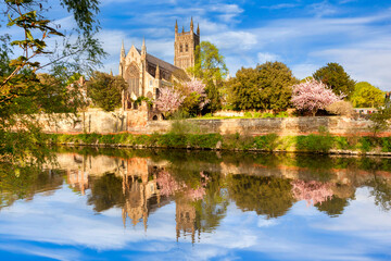 Wall Mural - Worcester Cathedral on a sunny spring morning, with cherry blossom in bloom, and a reflection in the River Severn.