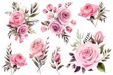 Set Watercolor Flowers Hand Painting, Floral Vintage Bouquets With Pink Roses. Decoration For Poster, Greeting Card, Birthday, Wedding Design. Isolated On White Background.