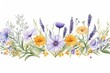 Watercolor wildflowers seamless border. repeating pattern. Daisy, calendula, lavender, eucalyptus branches and leaves garland. Summer floral frame for greeting cards and invitations