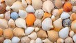 Collection of seashell for background, natural macro texture, top view