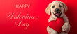 Cute dog with a red heart, isolated on red background: Ideal Template for Valentine's Day, Love, or Wedding Greeting Cards