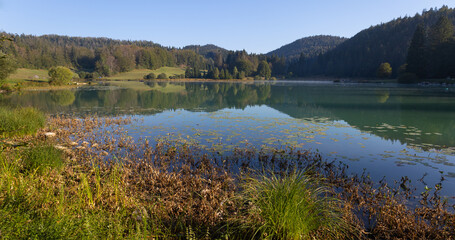 Wall Mural - Le lac Genin dans l'ain en france en été entre Oyonnax et nantua. Un petit lac très beau entouré de forêt, calme et reposant