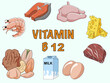 Infographics Vitamin B12. Products containing vitamin. Symptoms of deficiency. Raster medical poster.