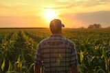 a male farmer has his back to the camera seeing corn field, in sunrise, with sun light