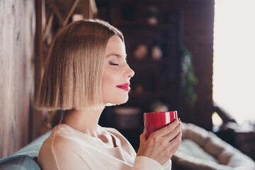 Poster - Profile portrait of gorgeous satisfied lady sit sofa closed eyes smell fresh aroma coffee free time calmness house inside