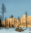 Dolomites, Italy - Panorama of Pale di San Martino in late afternoon light in winter