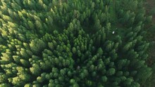 Drone Footage Of A River In Between Forests Land And Green Pine Trees Over Hills 