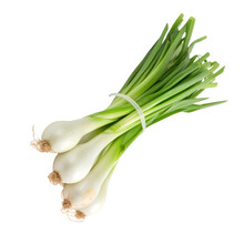 spring onions on transparent background;