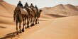 Camel caravan in the Sahara desert, Morocco, Africa. The concept of travel and adventure, isra mi'raj
