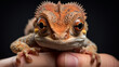 close up of a iguana head cute eye , Generate AI