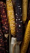 Heirloom corn national geographic AI Generated pictures